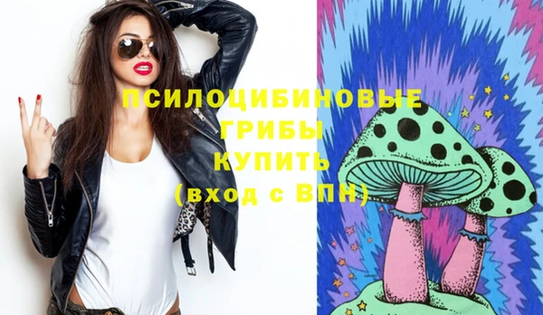 стаф Абдулино